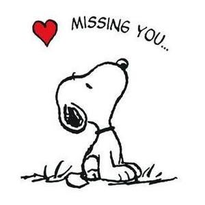 Meet your Posher, Kenneth